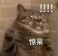 吃瓜猫咪表情,揭秘萌宠界的“吃瓜群众”