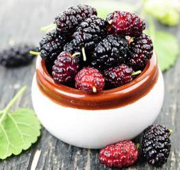 吃哈密瓜可以吃桑葚吗,夏季水果搭配新主张