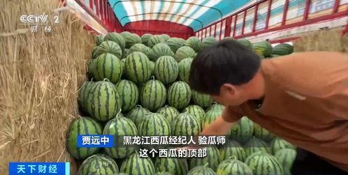 66吃瓜深圳,揭秘深圳的美食与娱乐盛宴