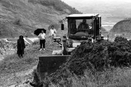 陇南礼县吃瓜新闻事件,一场引发社会关注的网络热议