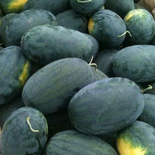 黑方瓜怎么吃,解锁美味新体验