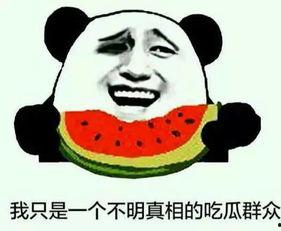 吃瓜看套路,吃瓜看套路，揭秘明星背后的真实故事