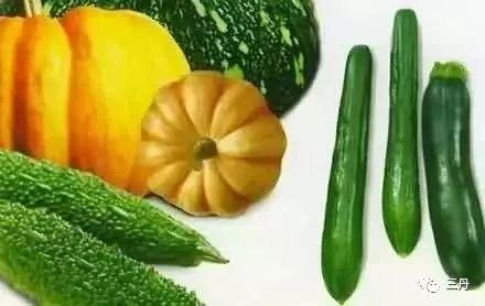 吃瓜音频在哪找,探寻网络热点的生成与传播