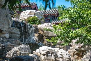 假山吃瓜小说,瓜田里的神秘传说