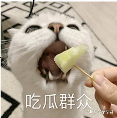 吃瓜现象的利与弊,利弊权衡下的社会现象解析