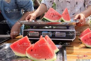 吃瓜 恶心,揭秘娱乐圈恶心事件背后的真相