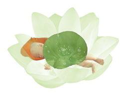 吃瓜吃的肚子难受,揭秘吃瓜引发的“消化危机”