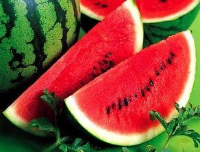 东海吃瓜视频,揭秘娱乐圈幕后故事