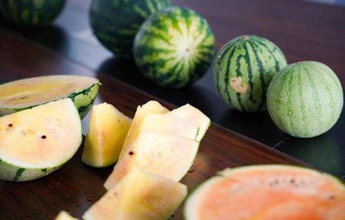 浙江安防吃瓜,揭秘吃瓜群众的智慧与力量