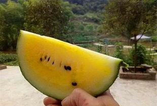 水果店打架吃瓜,一场打架引发的“吃瓜”盛宴