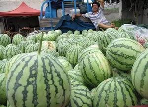 日本吃瓜群众,揭秘娱乐圈幕后真相