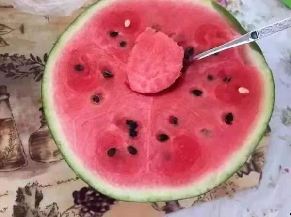 梦见和朋友叼着吃瓜,与好友共享瓜果时光