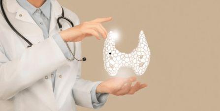 吃瓜脱发图片,揭秘瓜果与脱发之间的神秘联系