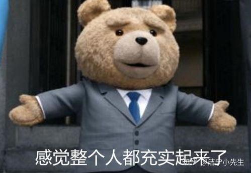 吃瓜熊表情包,趣味横生的网络文化现象