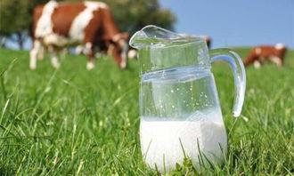 带你吃瓜奶粉,探寻网红食品背后的真相