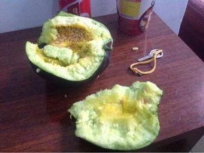 以前农村吃的小瓜,回忆中的田园美味