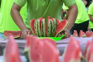 国外人吃瓜大赛,一场跨国界的“吃瓜”竞技盛宴